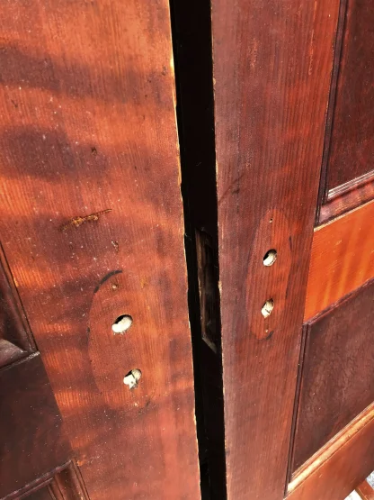 3-Panel Burl and Flame Redwood Doors - Image 4