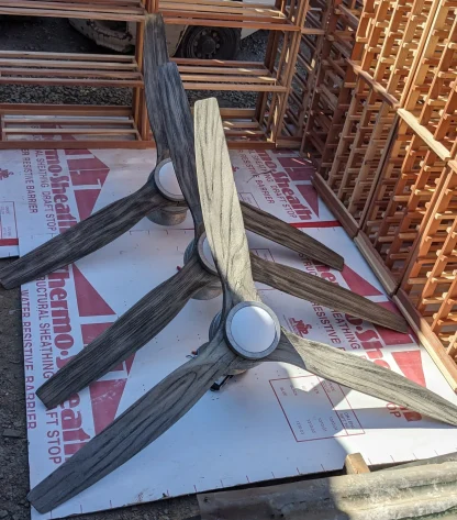Fanimation Ceiling Fans With Lights - Image 3