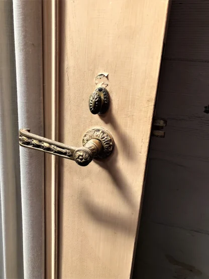 Vintage Entry Door With Wrought Bronze Grill - Image 7