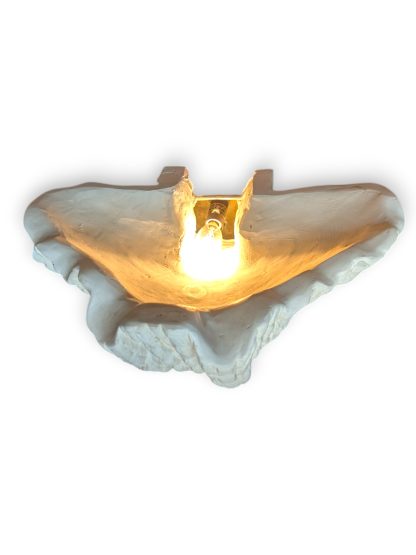 White Plaster Scallop Sconce by Dogfork Lamp Arts