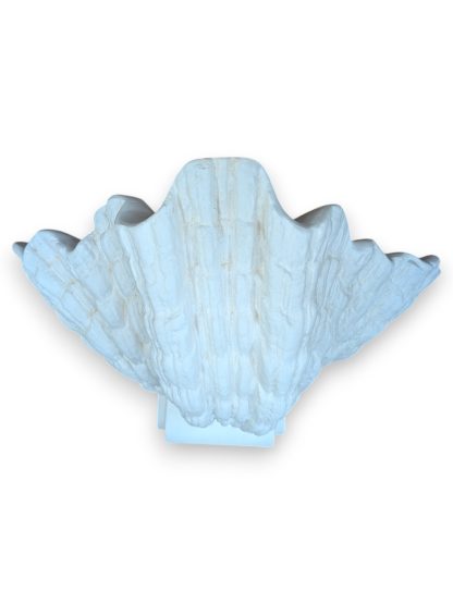 White Plaster Scallop Sconce by Dogfork Lamp Arts