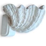 White Plaster Scallop Sconce by Dogfork Lamp Arts