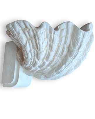 White Plaster Scallop Sconce by Dogfork Lamp Arts