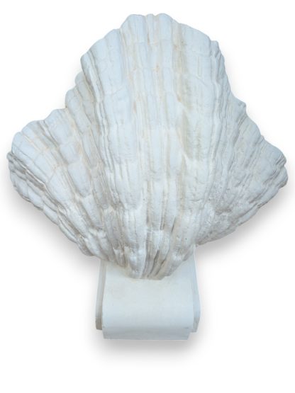 White Plaster Scallop Sconce by Dogfork Lamp Arts